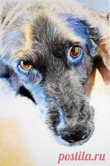 Blue Coffee Name: Megan Tang Age: 13 Category: Beginner  Material: 8x12 Mixed Media Paper Prismacolor Colored Pencils
