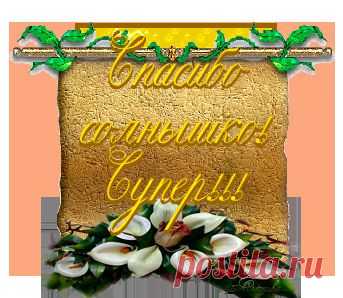 ЗОЛОТОЙ СБОРНИК ДЛЯ ВАС!.