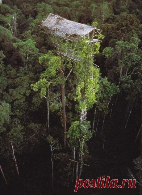 Заброшенный дом на острове Новая Гвинея