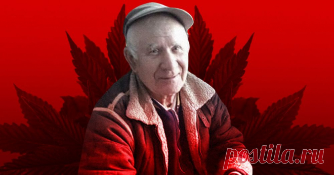 На дедушку завели уголовку из-за куста конопли в огороде. Он повесился Попросили сорвать куст, а потом взяли смывы с рук.