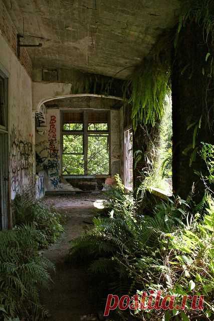 Найдено на сайте abandonedfl.com.