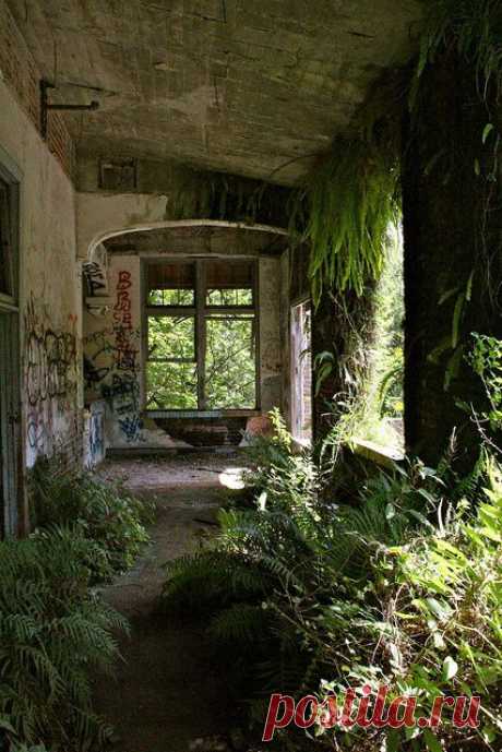 Найдено на сайте abandonedfl.com.