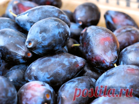 Сливы для здоровья щитовидной железы, и не только | Щитовидная железа | Яндекс Дзен