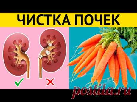 Мощное очищение и восстановление ПОЧЕК и МОЧЕВОГО ПУЗЫРЯ + Вредная еда для почек