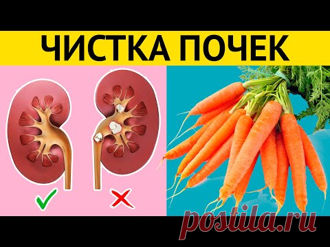 Мощное очищение и восстановление ПОЧЕК и МОЧЕВОГО ПУЗЫРЯ + Вредная еда для почек