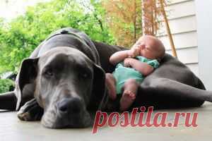 Малыши в компании своих самых верных друзей