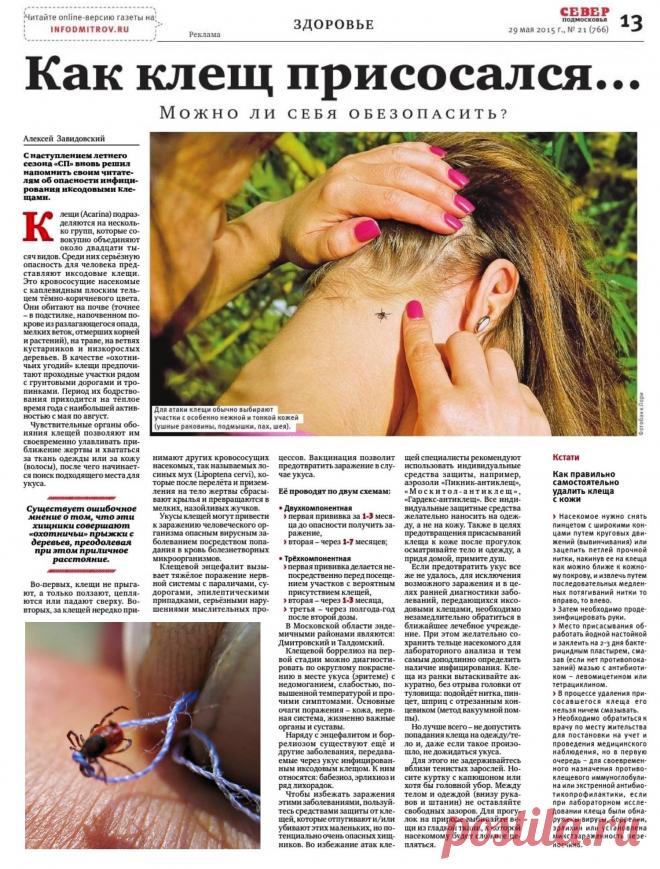 Клещ присосался