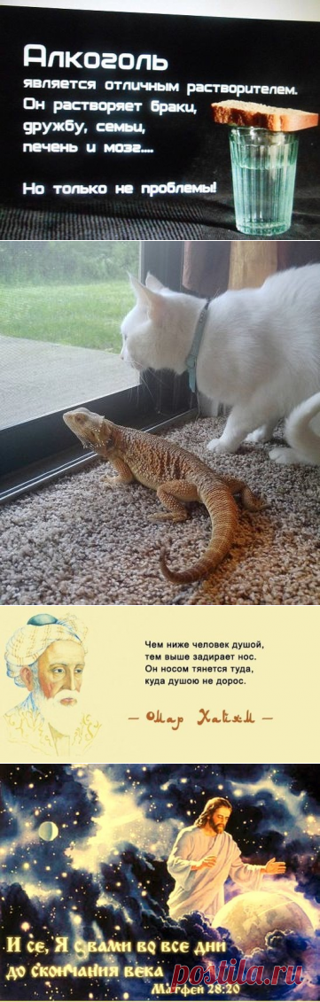 (73) Одноклассники