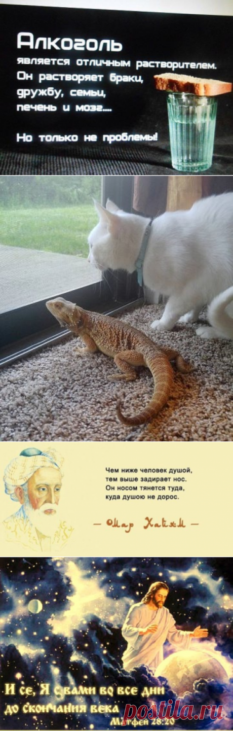 (73) Одноклассники