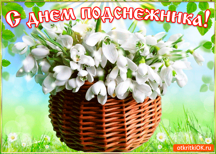 Он весною самый первый
К солнцу рост свой устремляет.
И под ручейков напевы
Нежно-нежно расцветает. Открытки на День подснежника!