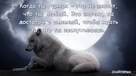 Мой Мир@Mail.Ru