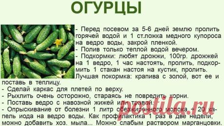 Сохраните чтобы не потерять