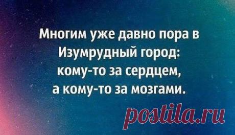 (48) Одноклассники