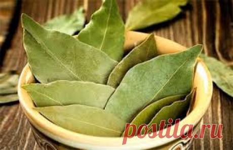Лавровое масло