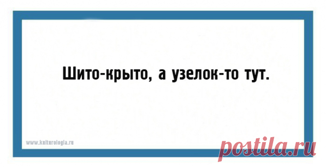 Полные или новые версии известных пословиц и поговорок