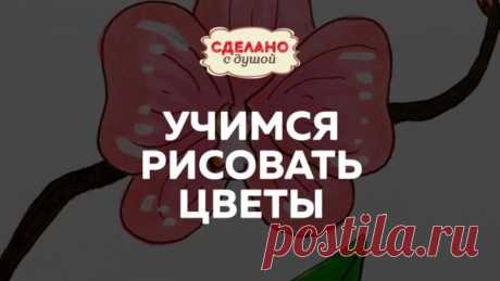 Рисуем простые цветы