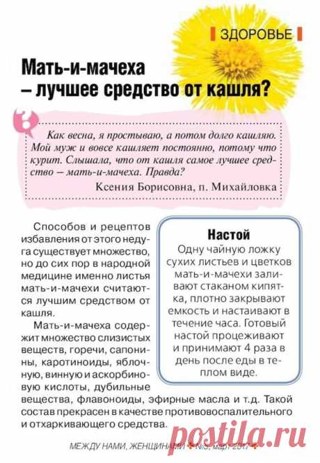 Мать-и-мачеха от кашля