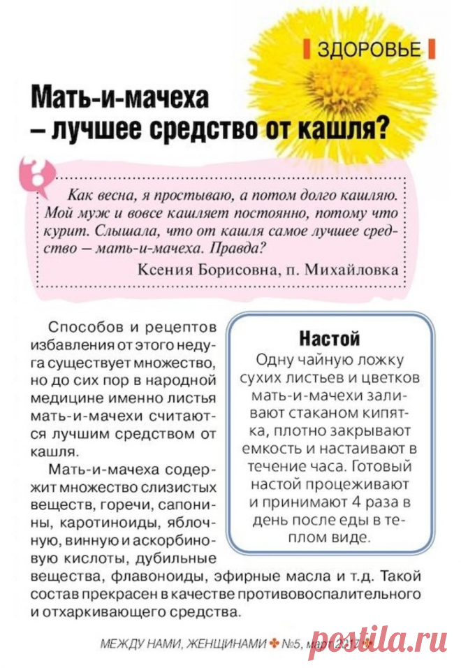 Мать-и-мачеха от кашля