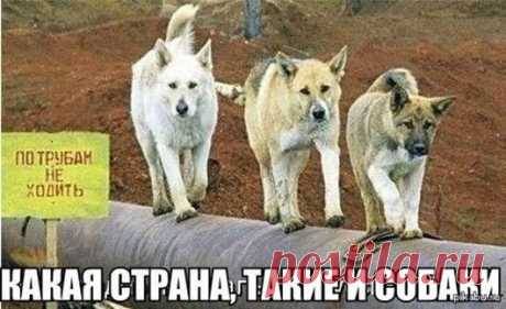 Я - суперпупер! Сайт любителей похвастаться