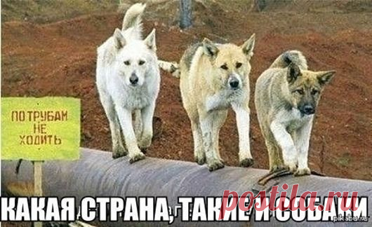 Я - суперпупер! Сайт любителей похвастаться