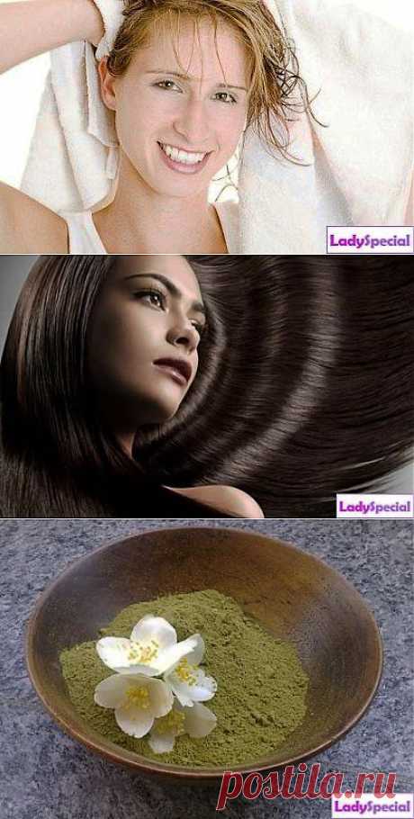Кора дуба для волос - Женский журнал LadySpecial.ru