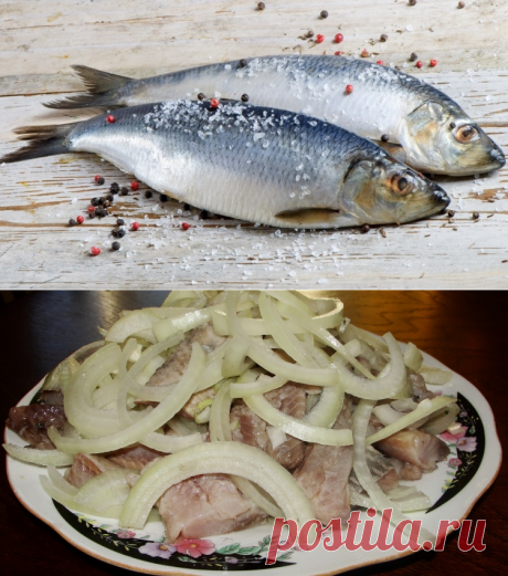 Селедка с уксусом и луком / Простые рецепты