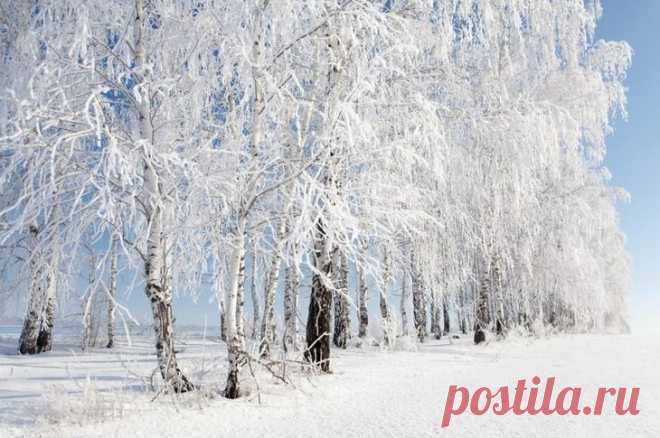 16 фотографий, доказывающих, что зима — это шедевр