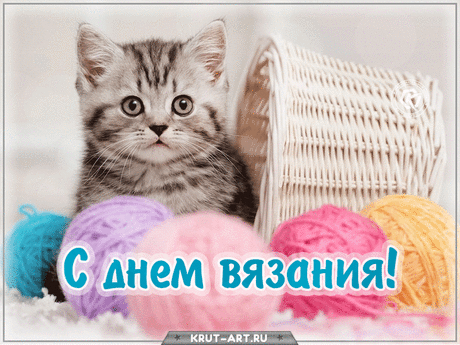 Всех вязальщиц поздравляю!
День ведь этот только ваш.
Жизнь пусть ваша расцветает
Среди спиц, крючков и пряж.