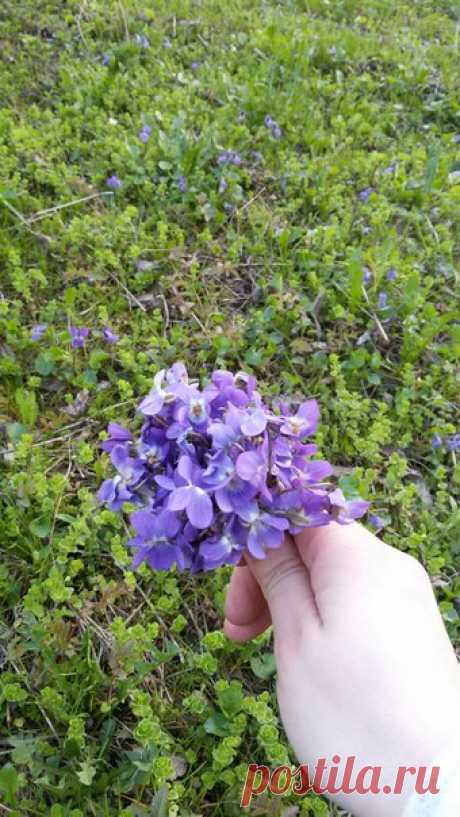 12.04.2018 Часть 3. Украина, Львовская область, город Великие Мосты. Весенняя прогулка на велосипеде.