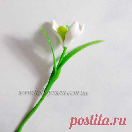 Цветок