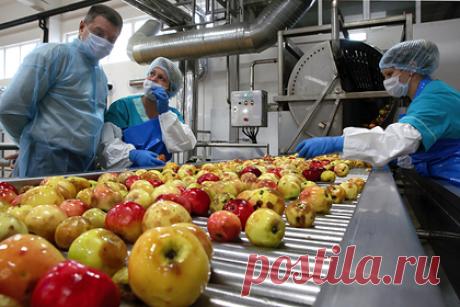 Диетолог сравнила пользу от красных, желтых и зеленых яблок. Врач-диетолог, член Национальной ассоциации диетологов и нутрициологов Марина Макиша рассказала, что самые полезные яблоки с красной, желтой и оранжевой кожурой. Она объяснила, что яркий цвет яблока свидетельствует о содержании в нем большого количества бета-каротина, полезного для глаз и профилактики развития рака.