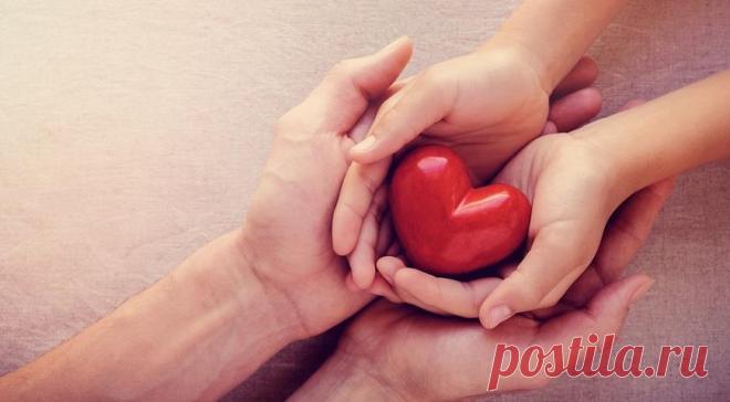 10 продуктов, которые нужны вашему сердцу - Все Советы   Чтобы сердце было здоровым, недостаточно просто избегать фаст-фуда и жирной пищи.Рассказываем о полезные продукты, которые так нужны вашему сердцу. 1. Овес и ячмень. Семена этих злаковых содержат особое вещество бета-глюкан, которое очень полезно для здоровья. Ученые доказали, что оно повышает способность организма вырабатывать инсулин, повышает иммунитет, защищает здоровые клетки тела во время радиационного излучения и химиотерапии. […]