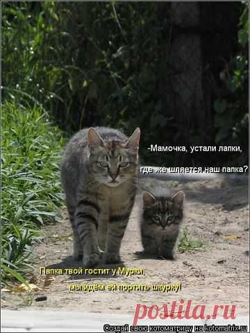 Мой Мир@Mail.Ru