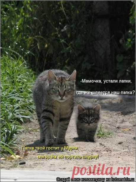 Мой Мир@Mail.Ru