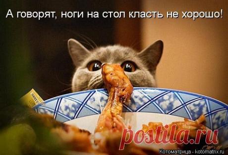 Новости