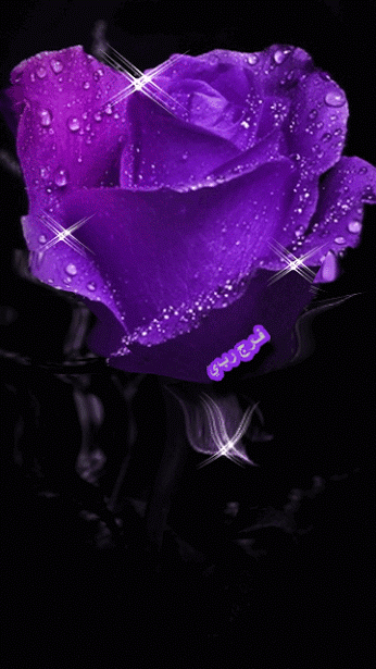 (21) Pinterest