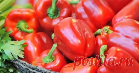 Суперурожай перца – 9 "работающих" советов Чтобы получить щедрый урожай болгарского перца, необязательно регулярно вносить в почву химические удобрения и часто пропалывать грядку. Нужно лишь учесть некоторые особенности этой культуры.