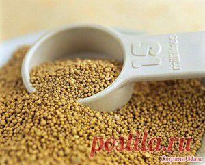 Памятка водителю : вас просят открыть капот или багажник | Автоблоги