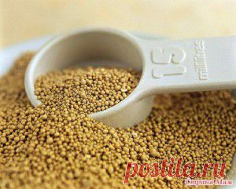 Памятка водителю : вас просят открыть капот или багажник | Автоблоги