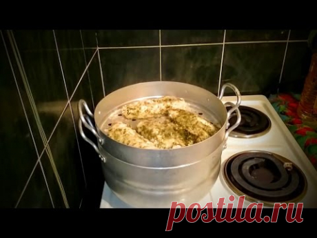 Блюда из рыбы Рецепт Рыба на пару минтай в пароварке как приготовить второые на ужин быстро вкусно - YouTube