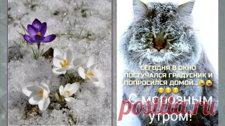 1 апреля, второй месяц весны проклюнулся. А МЧС предупреждает, что на территории РТ местами метели. | Mun Ira | Яндекс Дзен