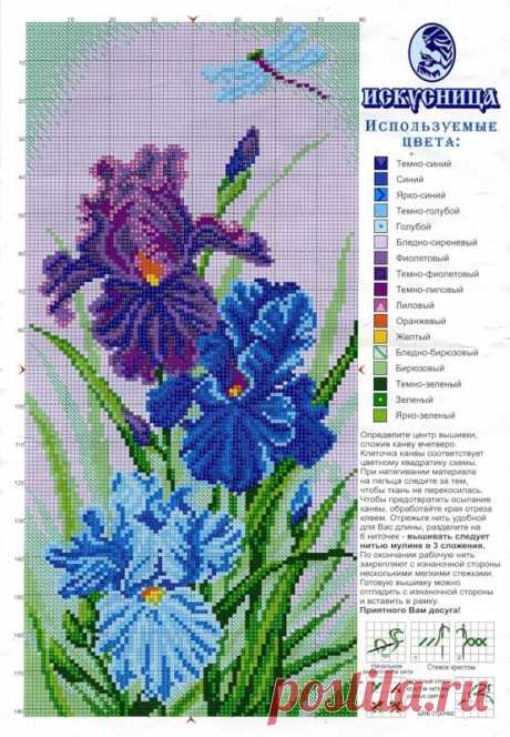 (13) Pinterest