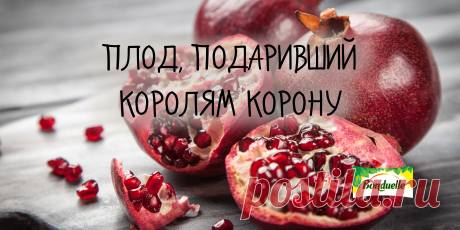 Плод, подаривший королям корону Наверное, не многие из нас, жители не самых теплых широт, видели гранатовые деревья. А вот в восточных странах, откуда гранат родом, они - бесконечный источник вдохновения для поэтов и художников. Изображения граната есть на египетских пирамидах и колоннах Иерусалимского храма, на древневизантийских тканях и старинных монетах, в орнаментах древних греков и арабов.