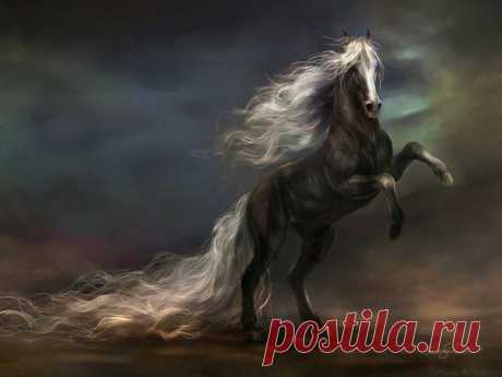 Fantasy - 50 фото. Фотографии ✿ܓЕлена Н..
