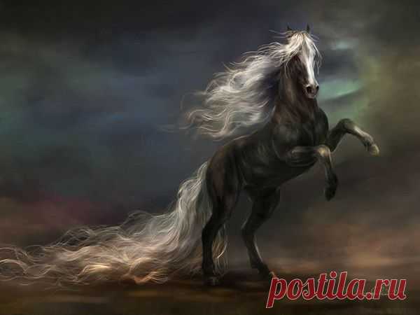 Fantasy - 50 фото. Фотографии ✿ܓЕлена Н..