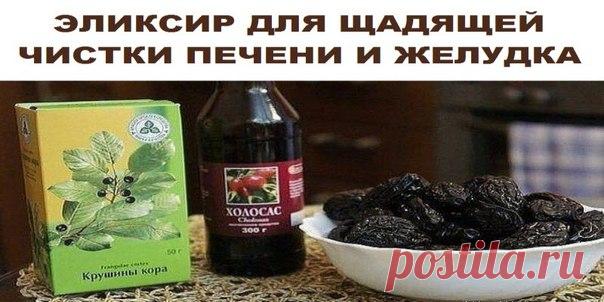 СИБИРСКАЯ ЧИСТКА КИШЕЧНИКА  / Абсолютное здоровье