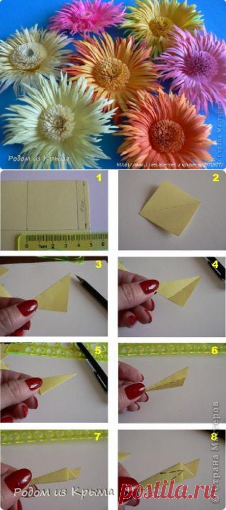МК хризантем по-новому_из бумаги.