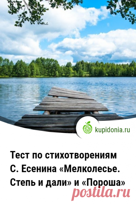 Тест по стихотворениям  С. Есенина «Мелколесье. Степь и дали» и «Пороша». Литературный тест по стихотворениям Сергея Есенина «Мелколесье. Степь и дали» и «Пороша» (школьная программа).