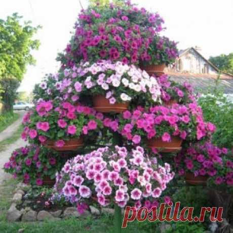 Дачный участок: 33 красивых цветника на даче
