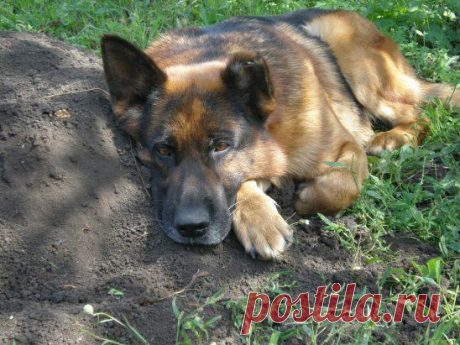 (74) Одноклассники